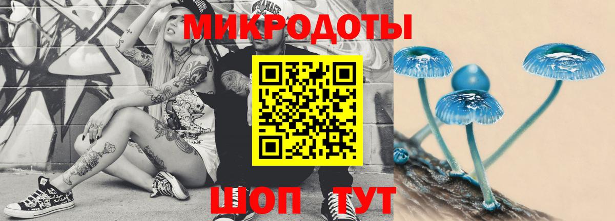 Псилоцибиновые грибы Magic Shrooms  Галлюциногенные грибы прущие грибы  где продают   Елец  Вход с VPN 